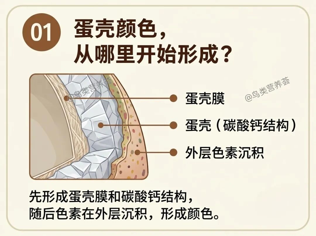 qw1.jpg