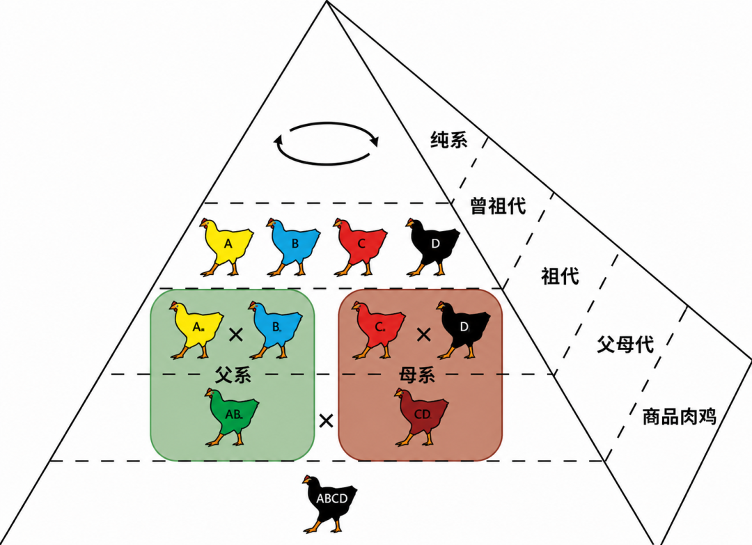 qw5.jpg