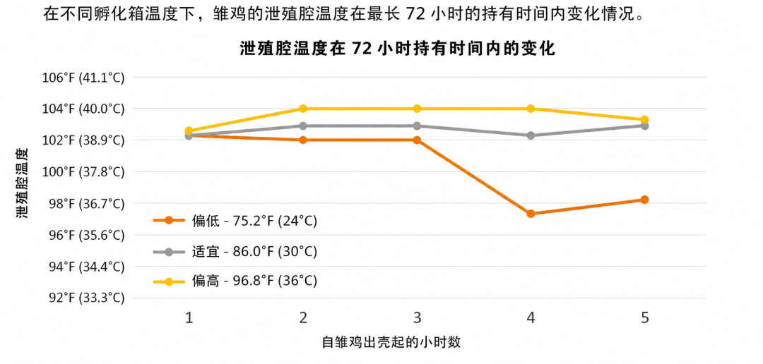 qw7.jpg