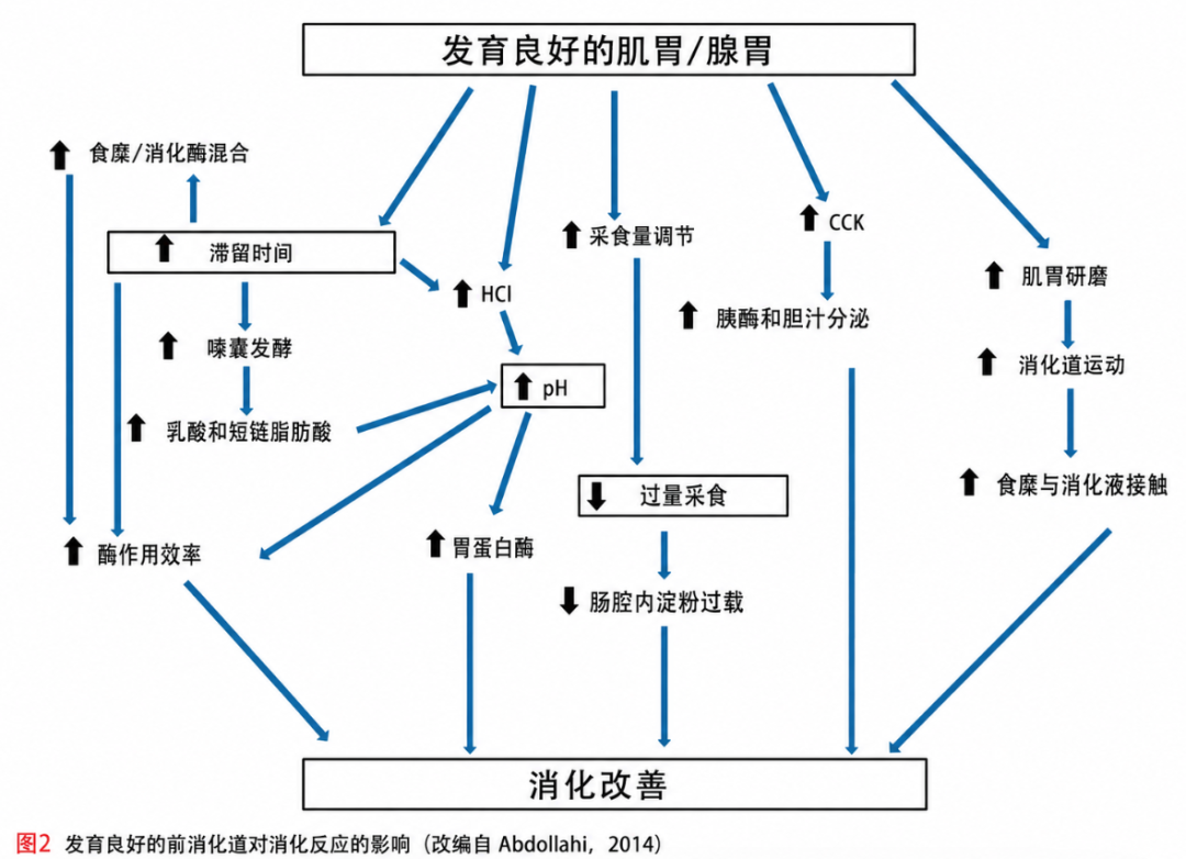 qw5.jpg
