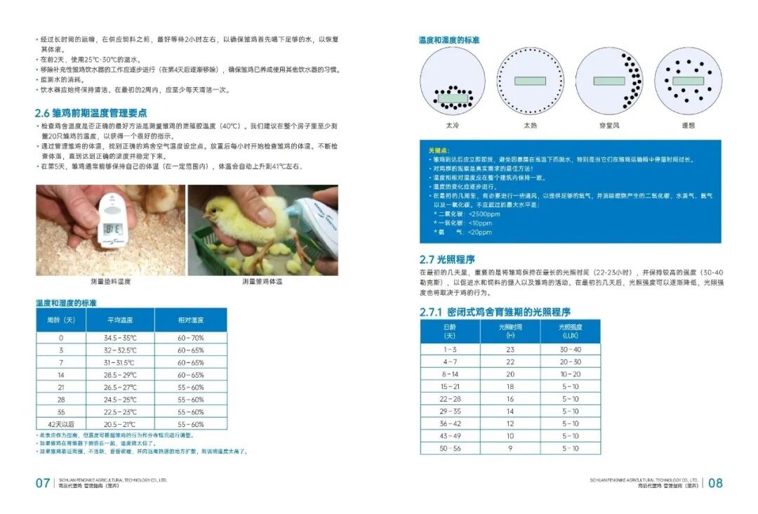 qw7.jpg