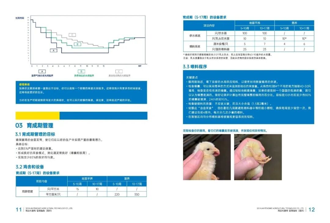 qw9.jpg