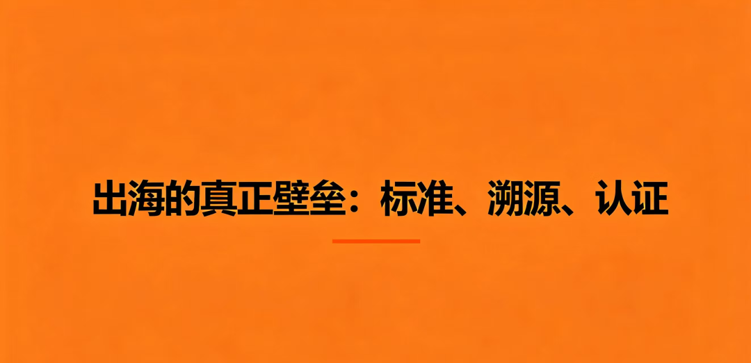 qw7.jpg