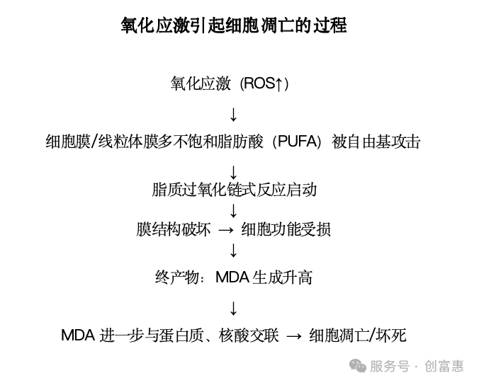qw5.jpg