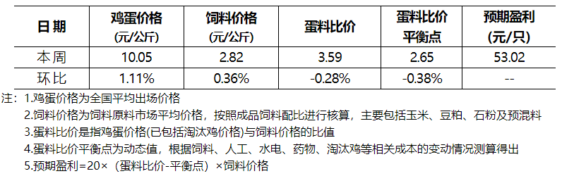 qw5.jpg