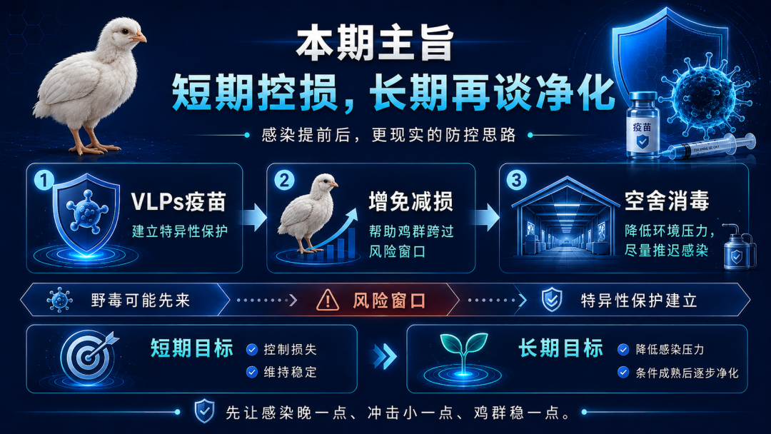 qw1.jpg