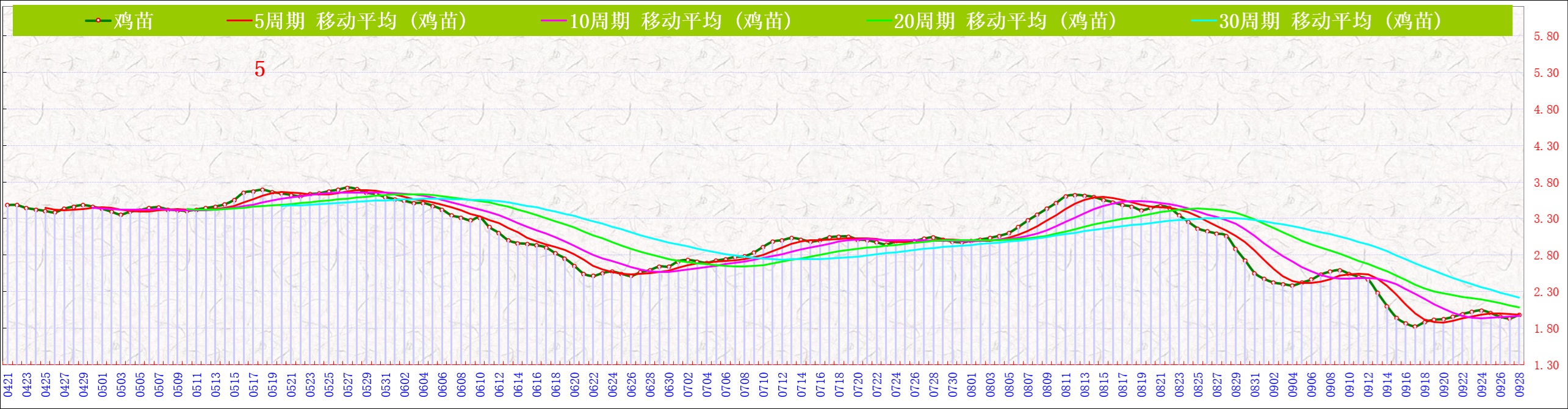 B鸡苗   0928.jpg