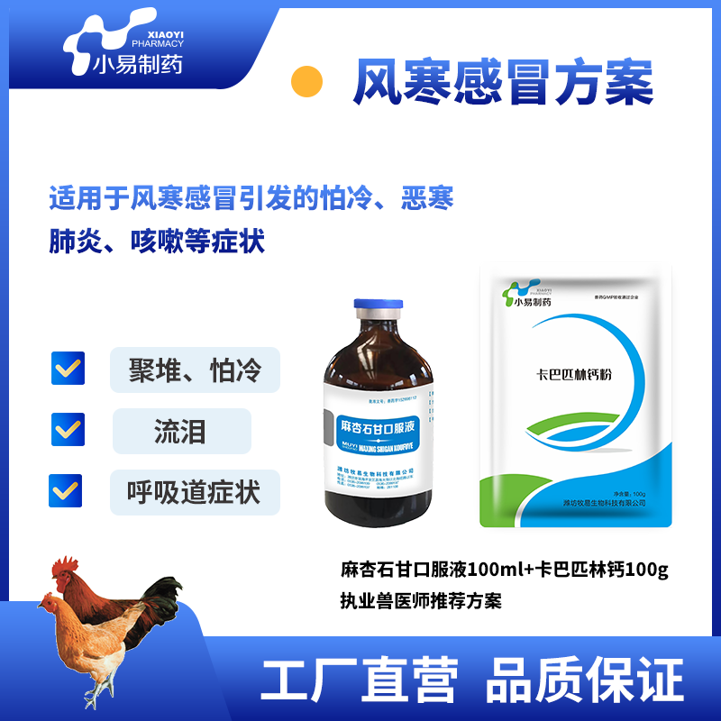 A风寒感冒100 1.png