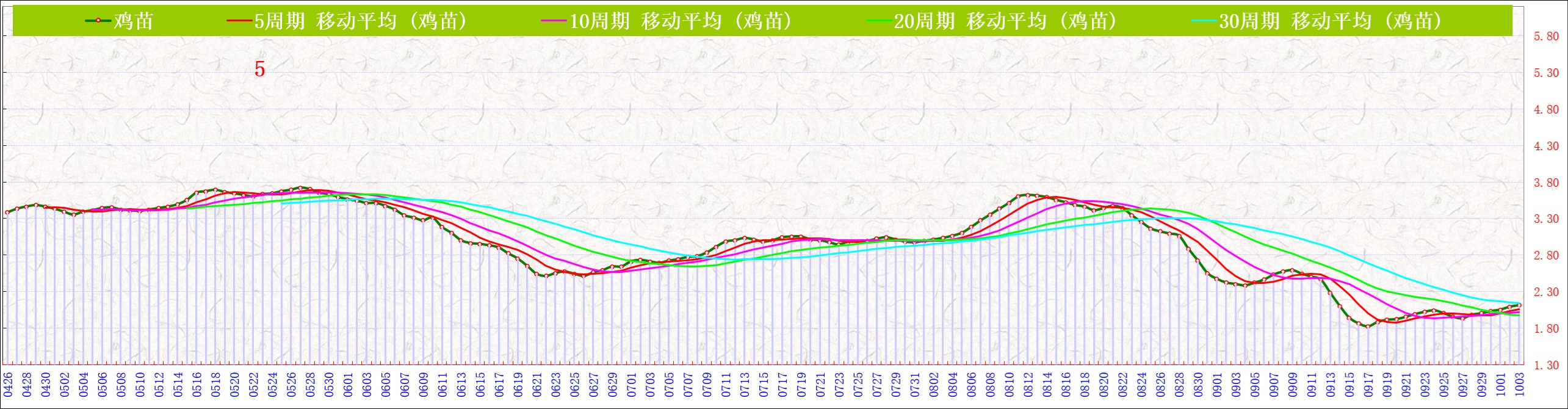 B鸡苗   1003.jpg