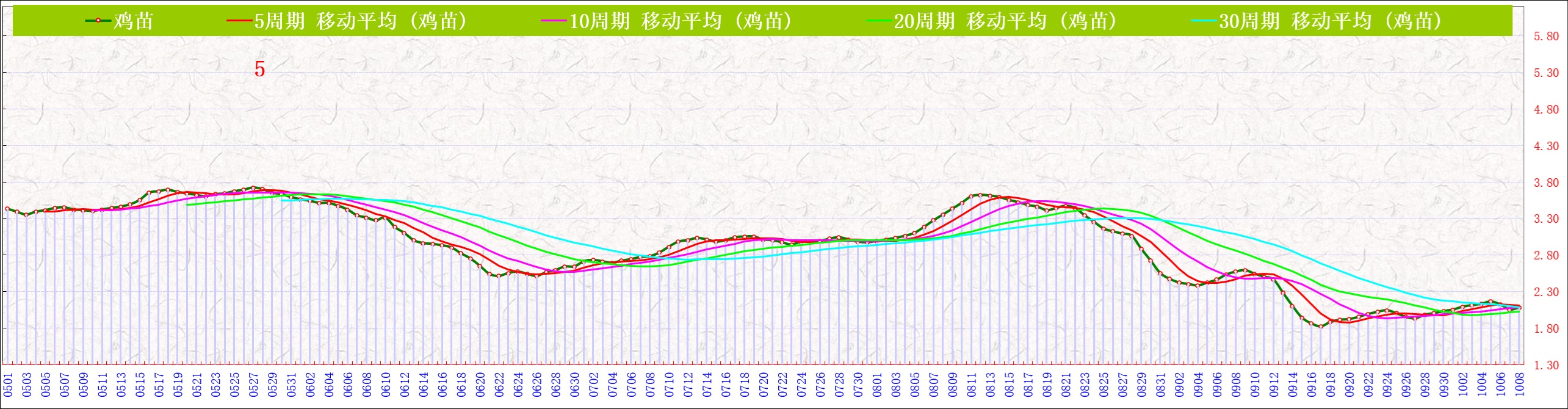 B鸡苗   1008.jpg