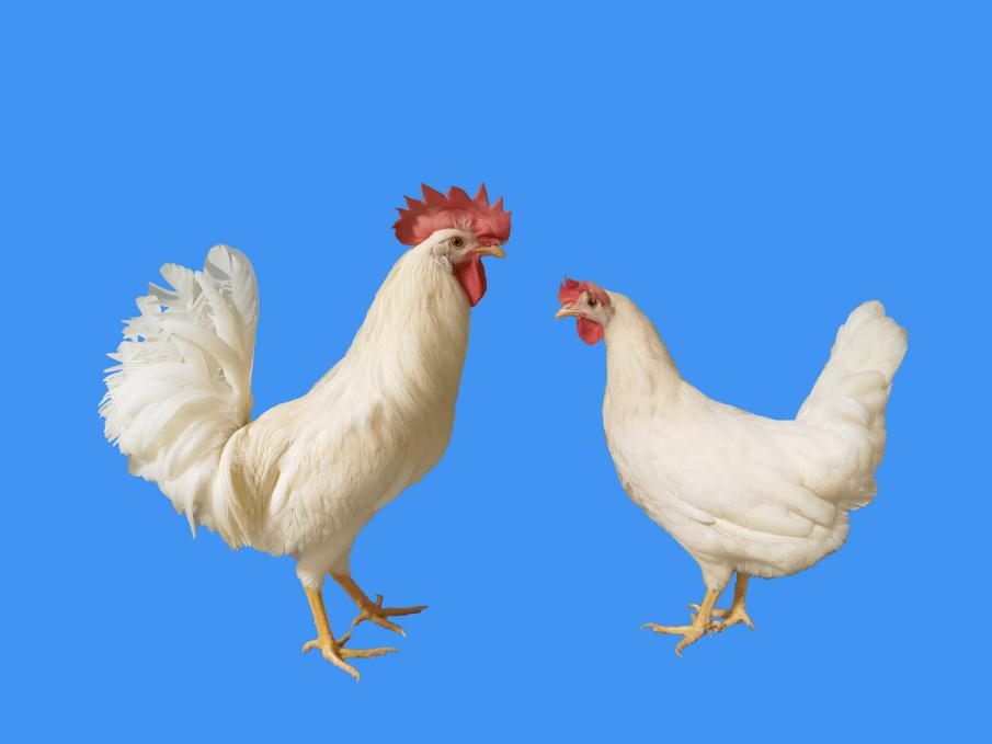 c8b3422882604ba15371e0125093c163.png