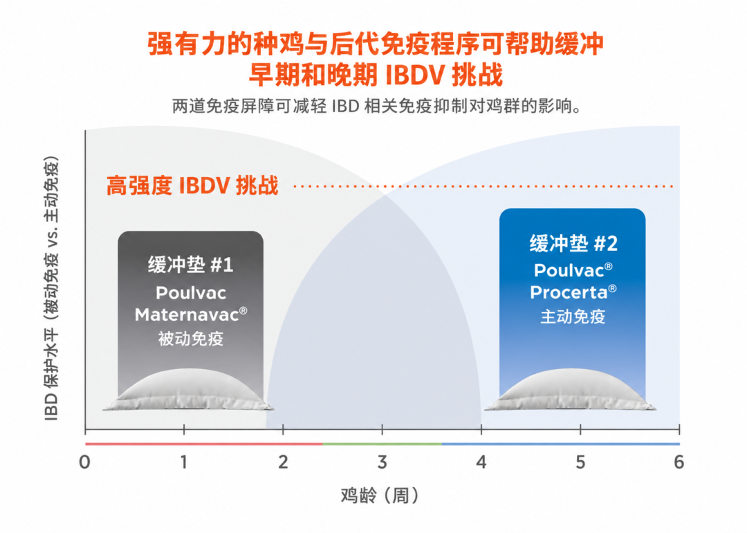 684b29b22ae0166e43eda592e0e5c32d.png
