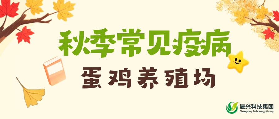 62955af9c6af33022364578bcc9882d2.png