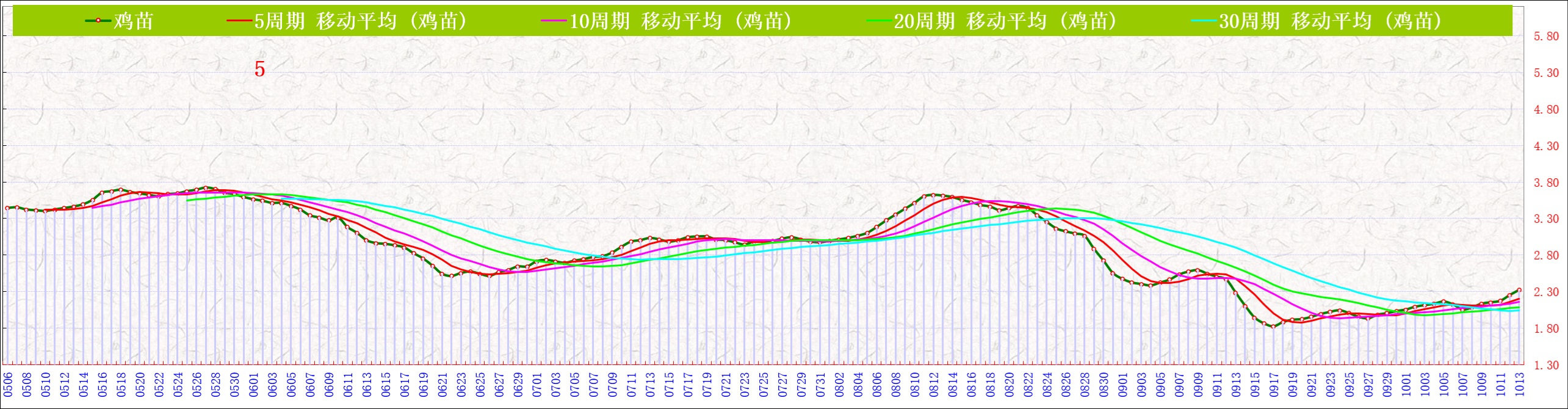 B鸡苗   1013.jpg
