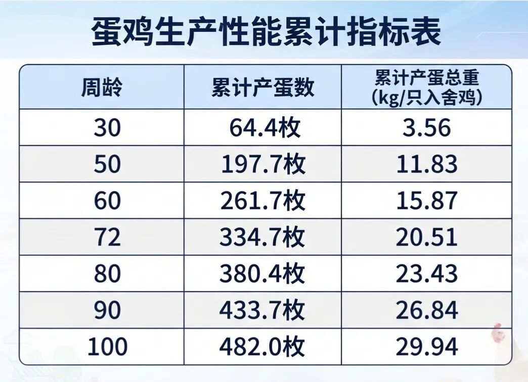 86cb2f6cb56e3e114d608a9d3cb22313.jpg