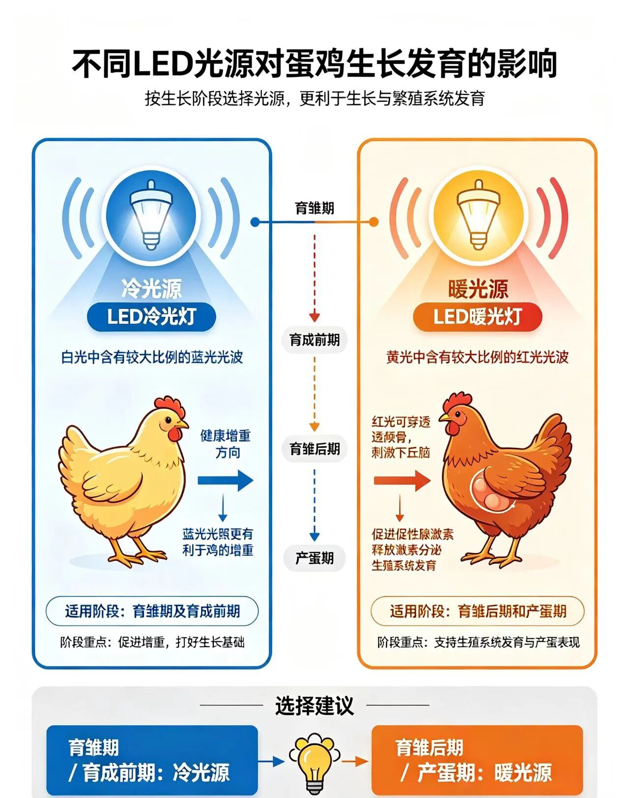 微信图片_2026-10-17_101625_729.jpg