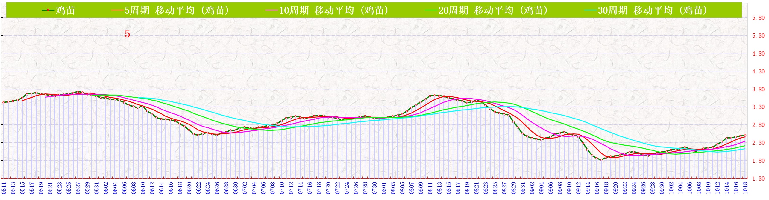B鸡苗   1018.jpg