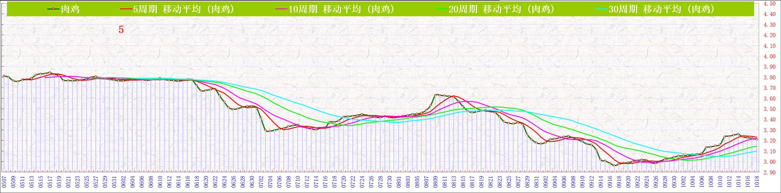 A肉鸡     1018.jpg