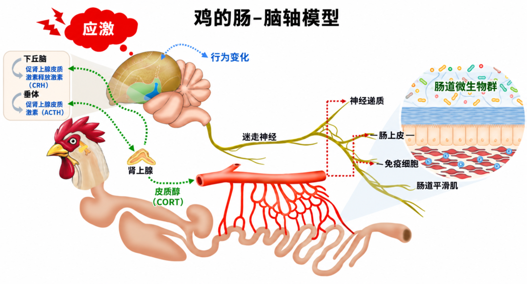 c591a388aabd0dcd984f60ca5c0681f6.png