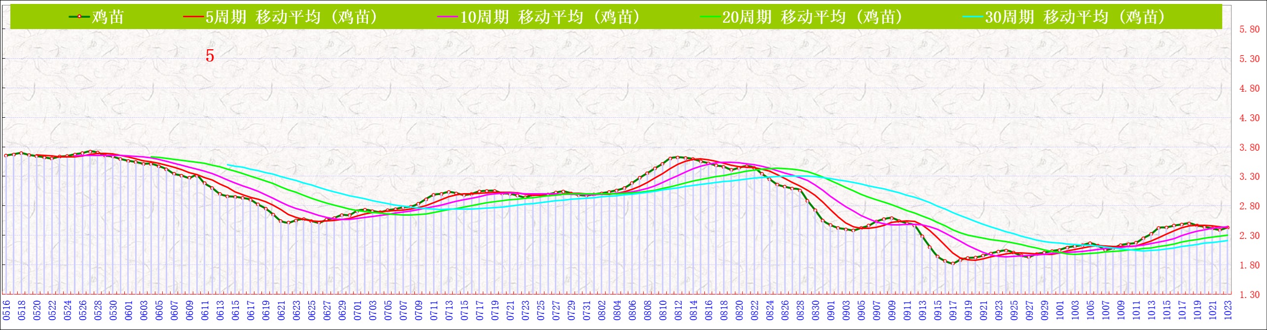 B鸡苗   1023.jpg
