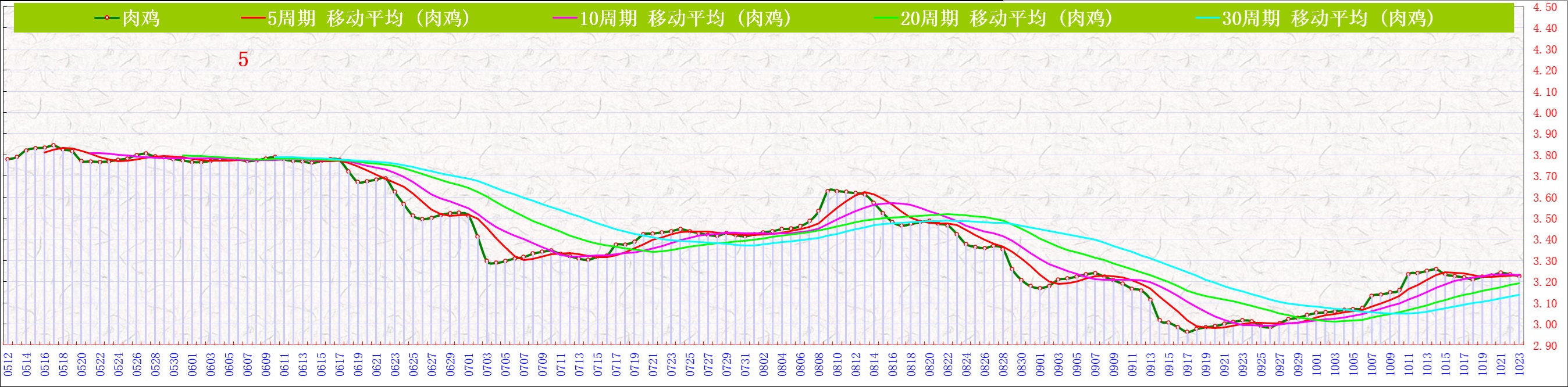 A肉鸡     1023.jpg