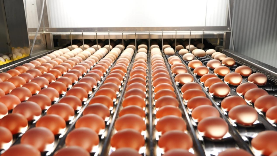 526ca534d9dfb3792e320ddbdd491ff4.png