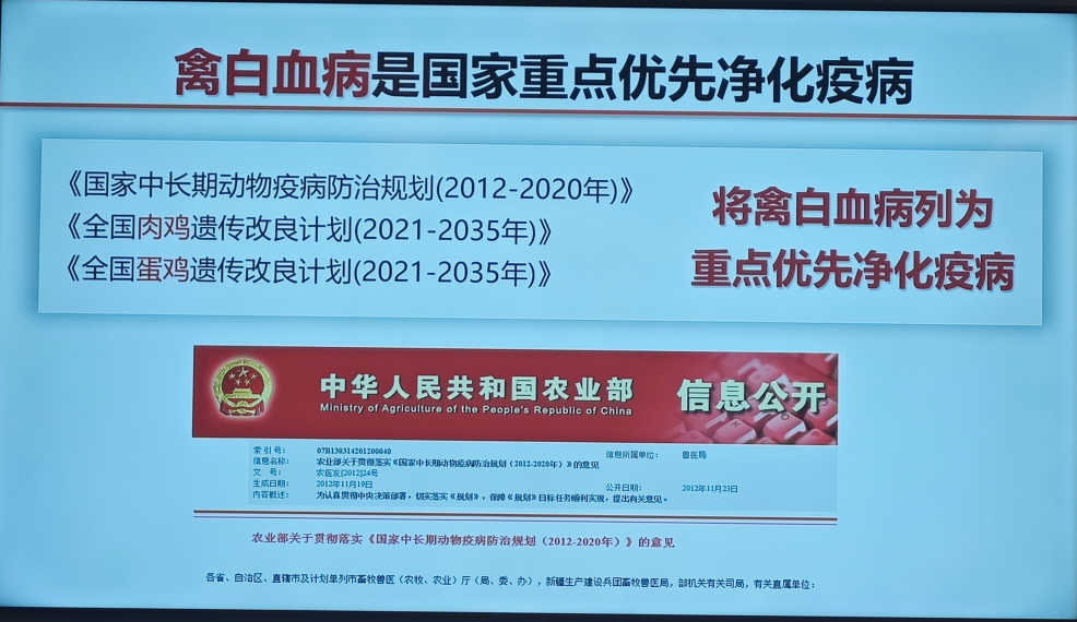 a1f38c891a7591a0bfe43efa4603e64c.png