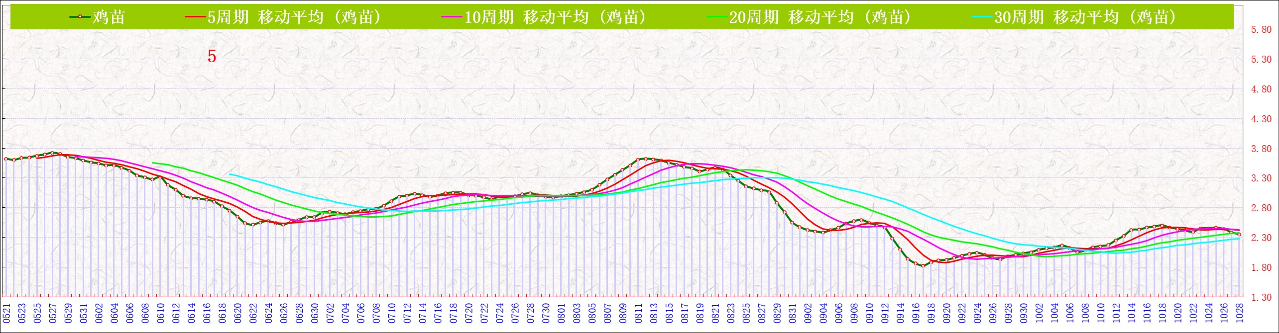 B鸡苗   1028.jpg