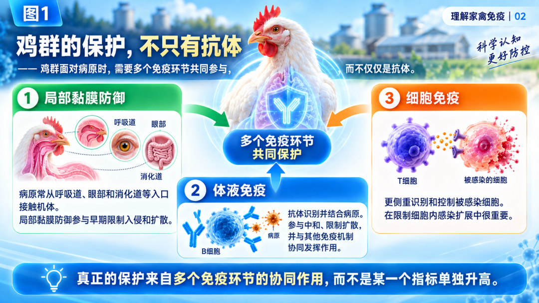 ac28d9daa9f3ef3e937e903bf93e8ec6.png