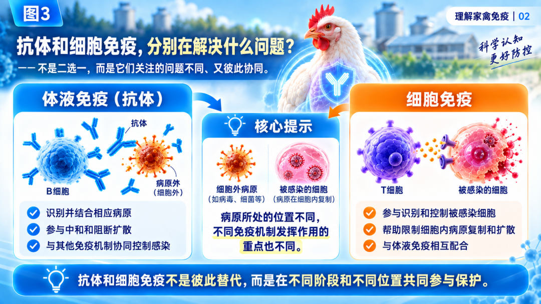 fd8c194f2026cb3e9d13e5c0116e14a0.png