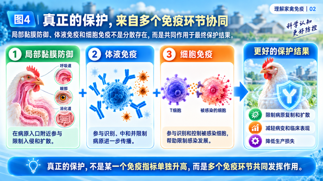0f711e1b0ea047163ddc8cb1d549c767.png