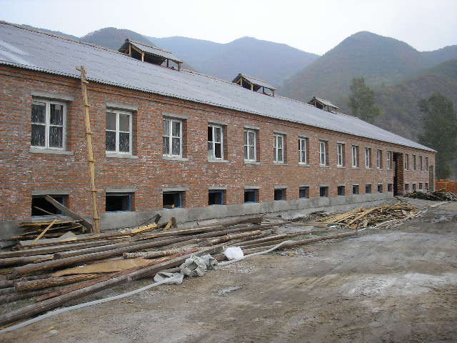 P1190001.jpg