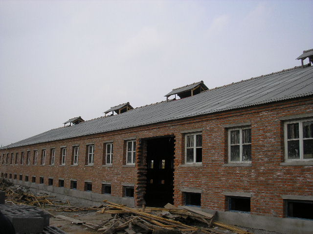 P1190004.jpg
