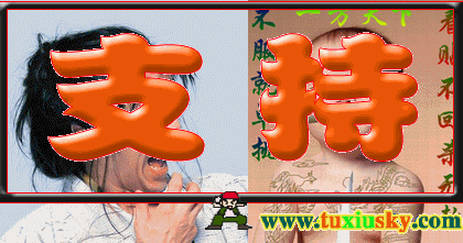支持.gif