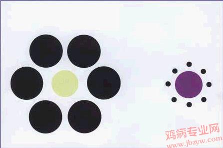 中间两个圆一样大