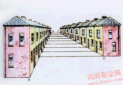 AB和CD线等长吗？