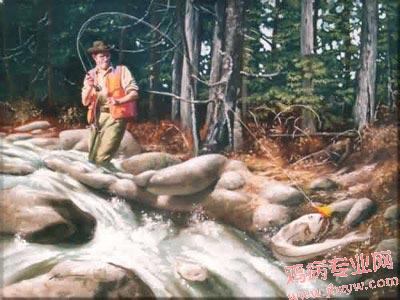 看到女人了吗？