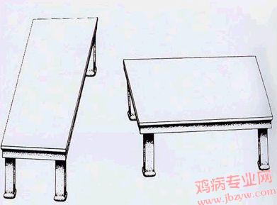 相信是完全相同的两张桌子 吗？