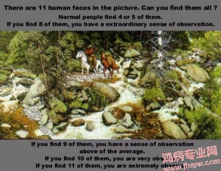找出里面有多少张隐藏的面孔