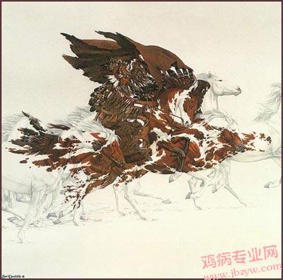 骑的是什么？