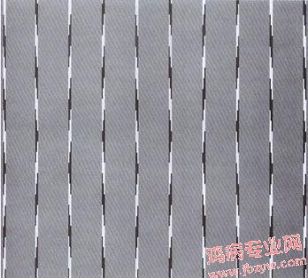 平行的线