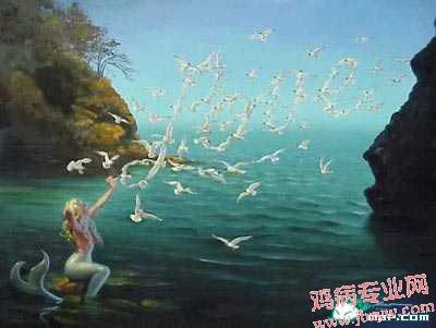 只看到在放飞鸽子吗？