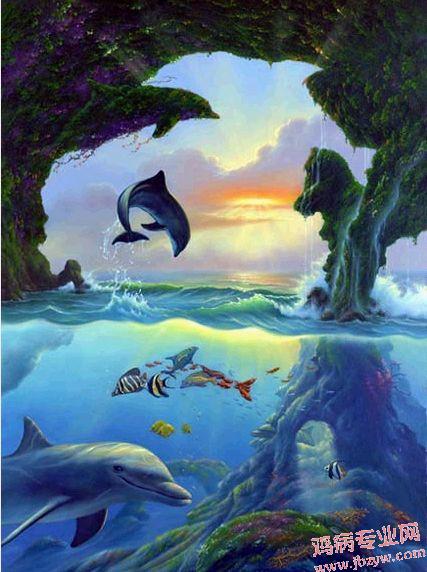 好多海豚