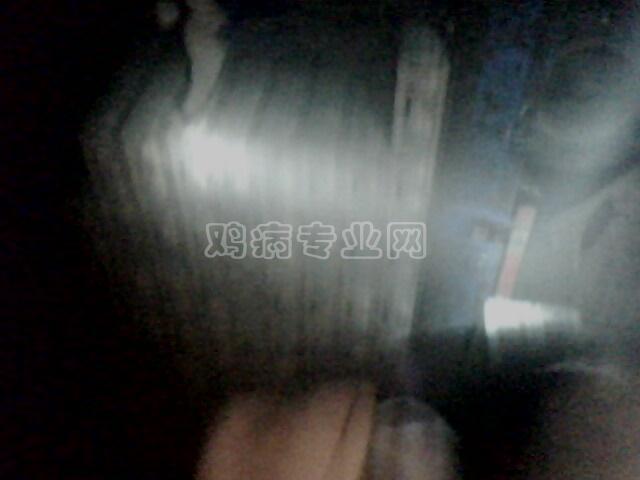 IMG0102A.jpg
