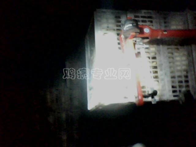 IMG0104A.jpg